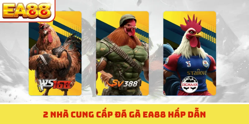 2 nhà cung cấp đá gà EA88 hấp dẫn