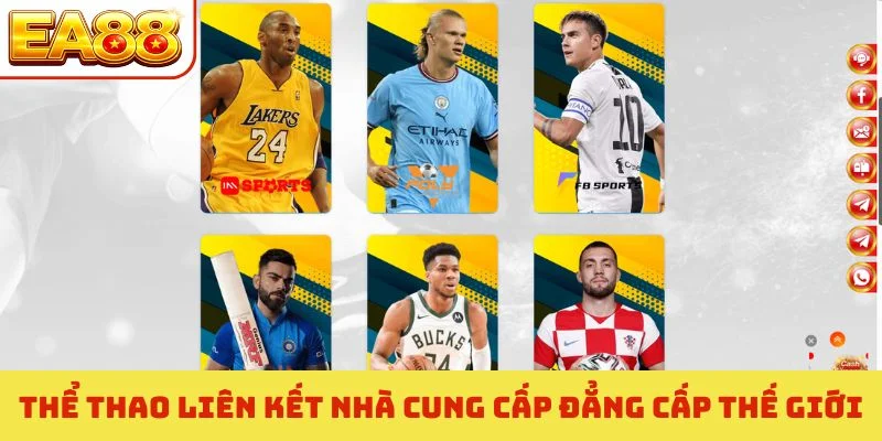 Thể thao liên kết nhà cung cấp đẳng cấp thế giới