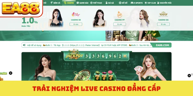 Trải nghiệm live casino đẳng cấp