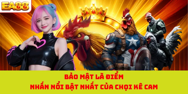 Bảo mật là điểm nhấn nổi bật nhất của chọi kê cam