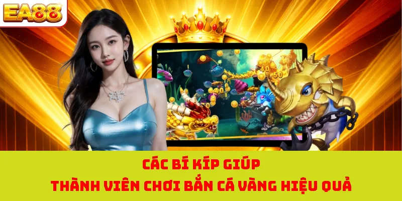 Bắn Cá Vàng - Săn Ngư Đại Dương Nhận Kho Báu Siêu Hấp Dẫn 3 Các bí kíp giúp thành viên chơi bắn cá vàng hiệu quả