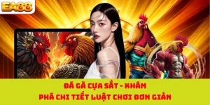 Đá Gà Cựa Sắt - Khám Phá Chi Tiết Luật Chơi Đơn Giản
