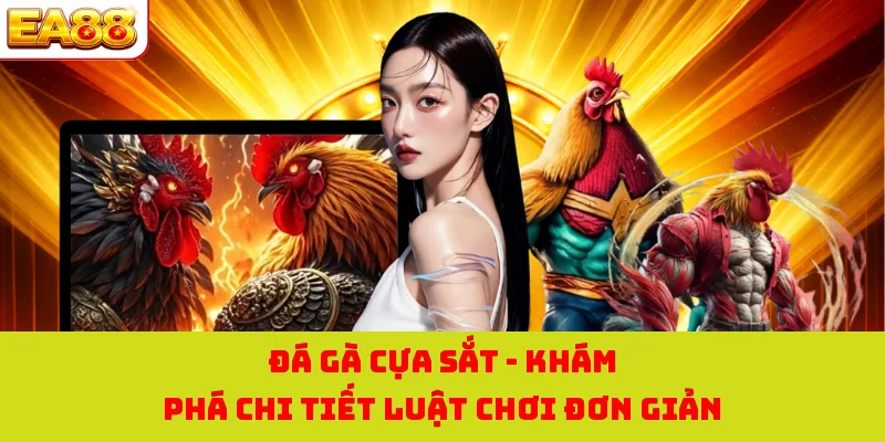 Đá Gà Cựa Sắt - Khám Phá Chi Tiết Luật Chơi Đơn Giản