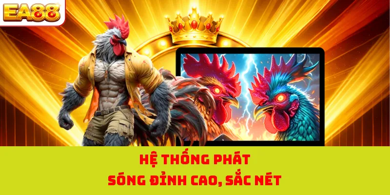 Hệ thống phát sóng đỉnh cao, sắc nét
