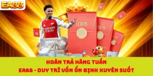 Hoàn Trả Hàng Tuần EA88 - Duy Trì Vốn Ổn Định Xuyên Suốt 