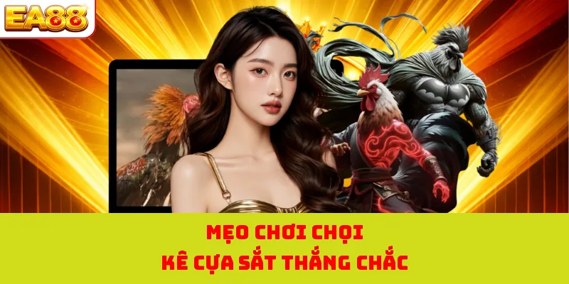 Mẹo chơi chọi kê cựa sắt thắng chắc 