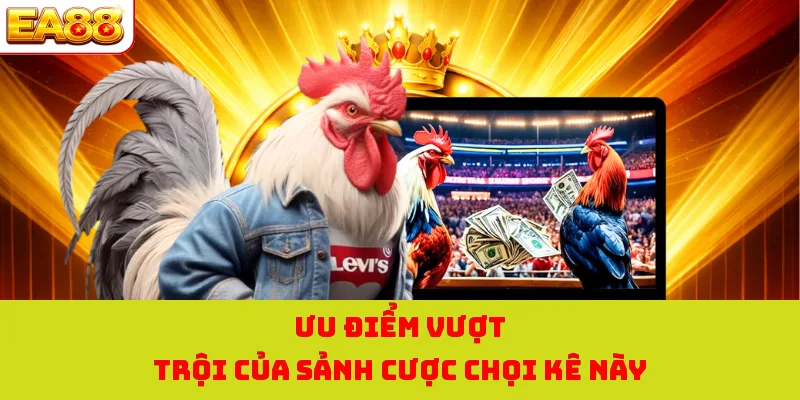 Ưu điểm vượt trội của sảnh cược chọi kê này
